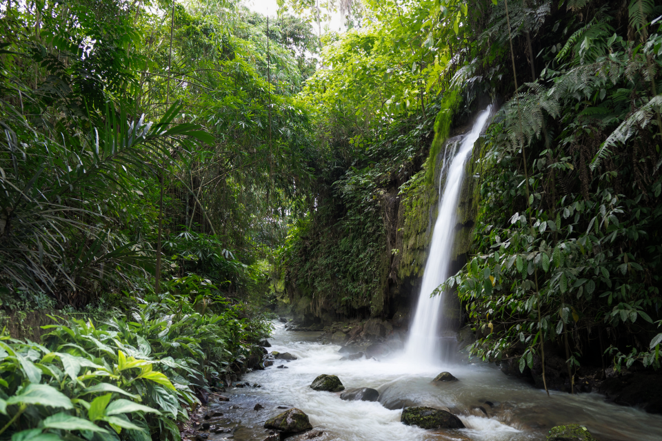 10 Waterfall