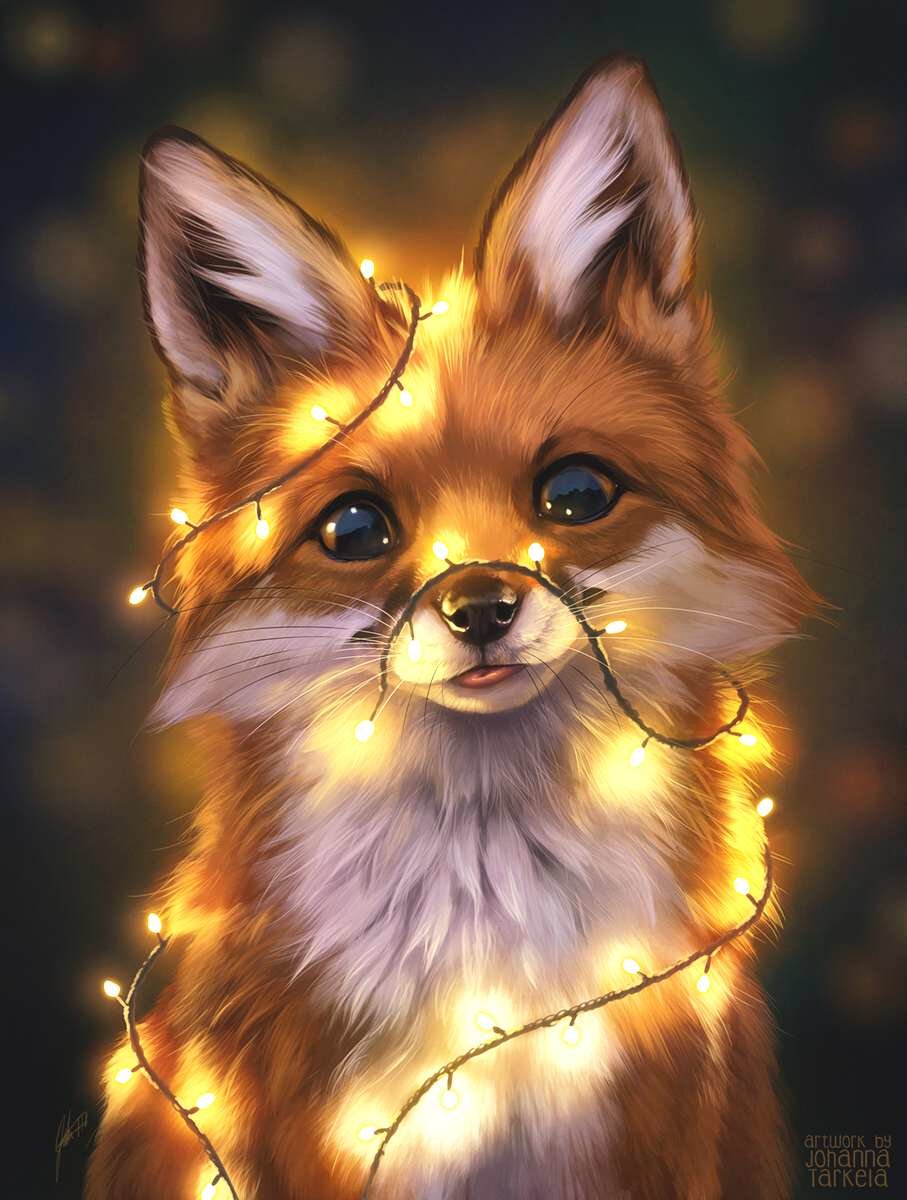 fox